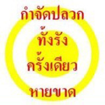 กำจัดปลวก