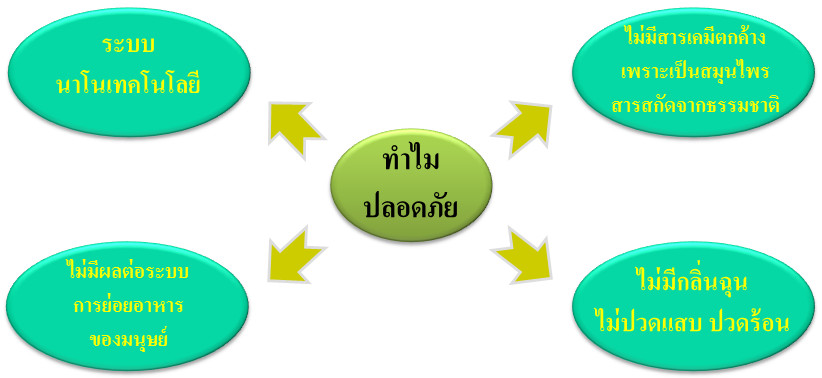 ระบบหัวเข็ม (Pin System) ความปลอดภัย