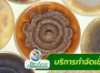 บริการกำจัดเชื้อรา
