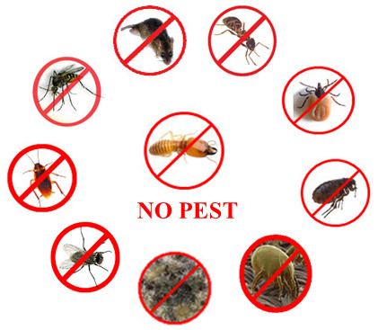 วงจร No Pest