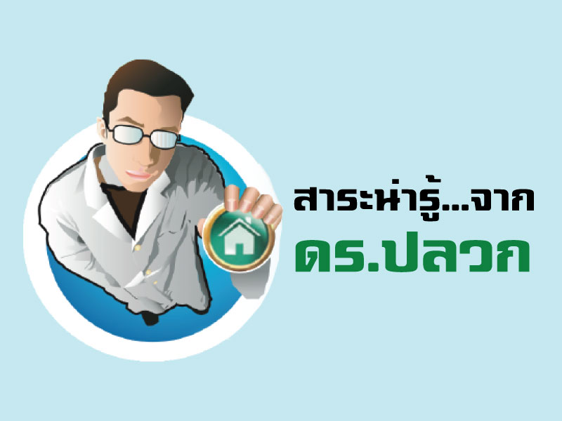 สาระน่ารู้จาก Dr.ปลวก (More Knowledge) สาระน่ารู้จาก Dr.ปลวก (More Knowledge)