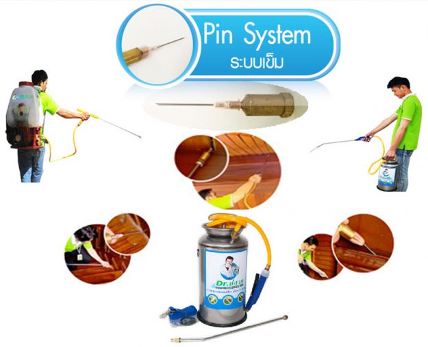 ระบบหัวเข็ม (Pin System)