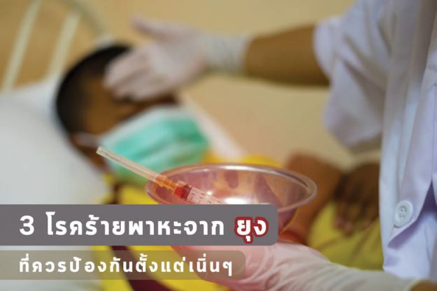 3 โรคร้ายพาหะจากยุง ที่ควรป้องกันตั้งแต่เนิ่น ๆ