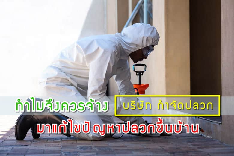 ทำไมจึงควรจ้างบริษัท กำจัดปลวก มาแก้ไขปัญหาปลวกขึ้นบ้าน ทำไมจึงควรจ้างบริษัท กำจัดปลวก มาแก้ไขปัญหาปลวกขึ้นบ้าน