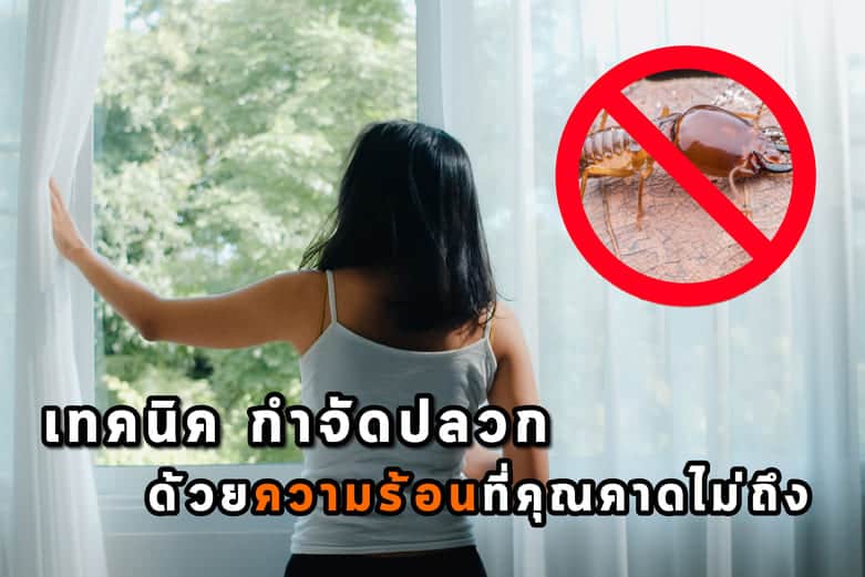 เทคนิคกำจัดปลวกด้วยความร้อนที่คุณคาดไม่ถึง เทคนิคกำจัดปลวกด้วยความร้อนที่คุณคาดไม่ถึง