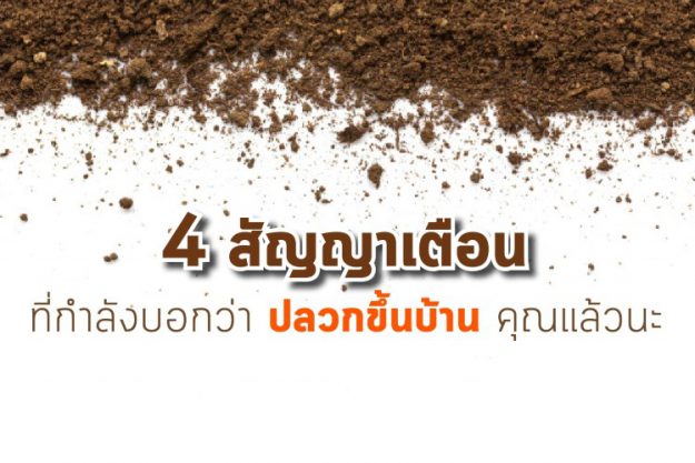 4 สัญญาเตือนที่กำลังบอกว่า ปลวกขึ้นบ้าน คุณแล้วนะ