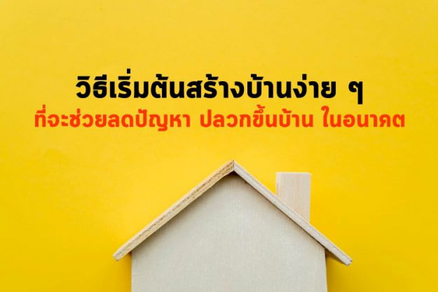 วิธีเริ่มต้นสร้างบ้านง่าย ๆ ที่จะช่วยลดปัญหาปลวกขึ้นบ้านในอนาคต