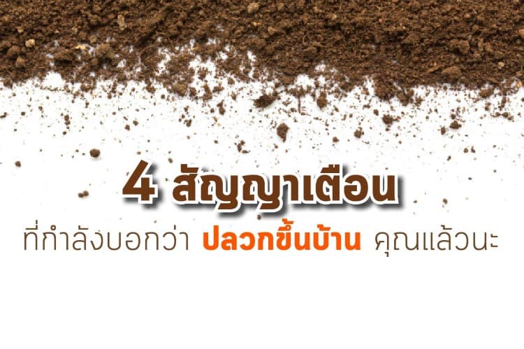 4 สัญญาเตือนที่กำลังบอกว่า ปลวกขึ้นบ้าน คุณแล้วนะ 4 สัญญาเตือนที่กำลังบอกว่า ปลวกขึ้นบ้าน คุณแล้วนะ