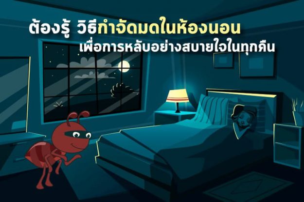 ต้องรู้ วิธีกำจัดมดในห้องนอน เพื่อการหลับอย่างสบายใจในทุกคืน