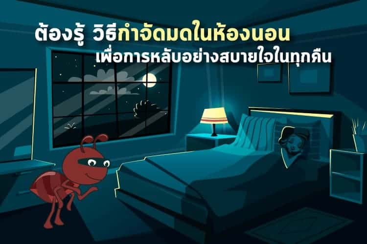 ต้องรู้ วิธีกำจัดมดในห้องนอน เพื่อการหลับอย่างสบายใจในทุกคืน