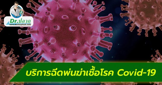 บริการฉีดพ่นฆ่าเชื้อโรค, บริการฉีดพ่นฆ่าเชื้อไวรัส, ฆ่าเชื้อไวรัสโควิด, ฆ่าเชื้อโควิด, ฆ่าเชื้อโรค, บริการกำจัดฆ่าเชื้อโรค, บริการกำจัดฆ่าเชื้อไวรัส