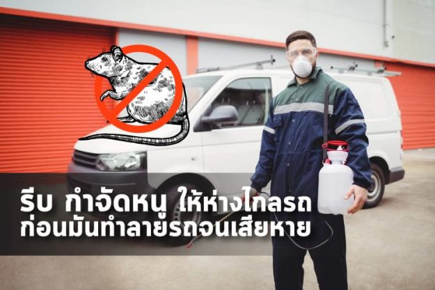 รีบกำจัดหนู ให้ห่างไกลรถ ก่อนมันทำลายรถจนเสียหาย