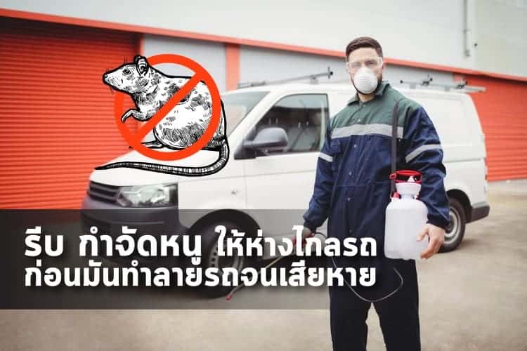 หน้าหลัก 26 รีบกำจัดหนู ให้ห่างไกลรถ ก่อนมันทำลายรถจนเสียหาย