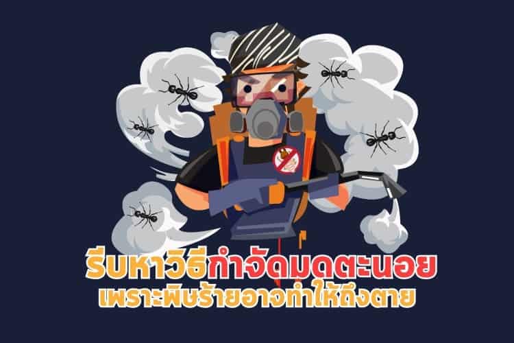 รีบหาวิธีกำจัดมดตะนอย เพราะพิษร้ายอาจทำให้ถึงตาย รีบหาวิธีกำจัดมดตะนอย เพราะพิษร้ายอาจทำให้ถึงตาย