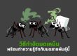 วิธีกำจัดมดเหม็น พร้อมทำความรู้จักมดสายพันธ์นี้