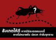 สังเกตให้ดี หากมีร่องรอยแบบนี้ อาจไม่หมายถึงปลวกกำลังรุกราน